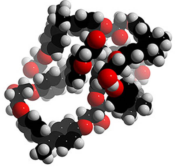 環氧樹脂黏合劑