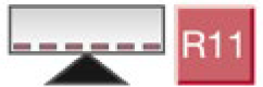 R11