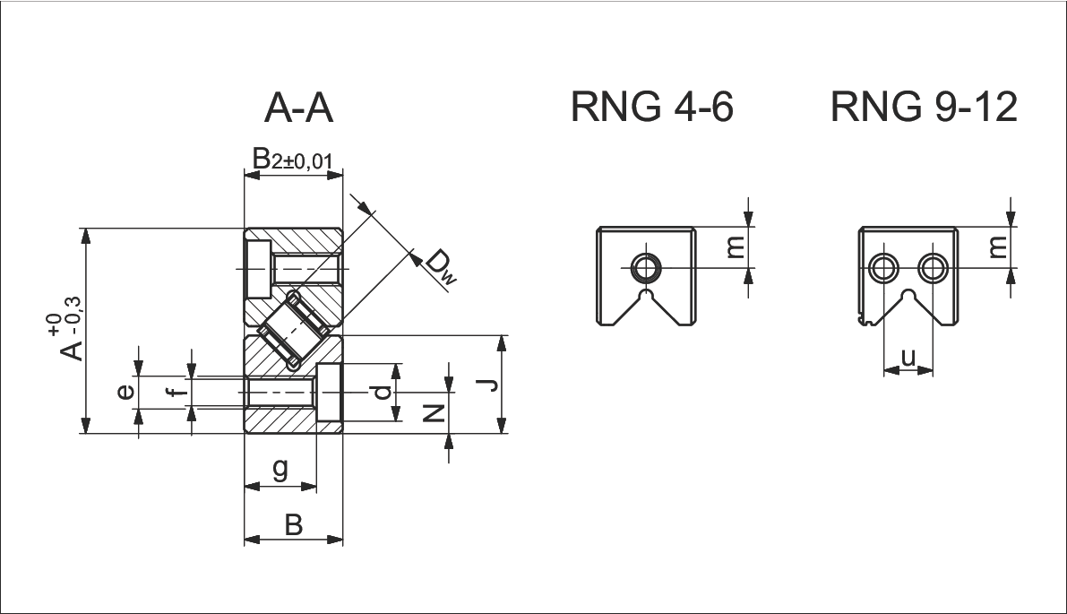 Type RNG 截面圖 A-A