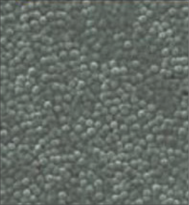 DURALLOY® 塗層結構顯微圖